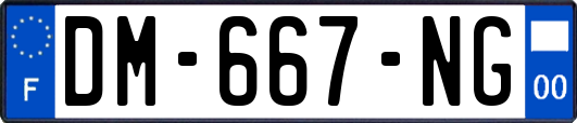 DM-667-NG