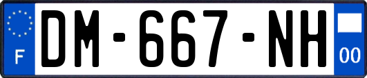 DM-667-NH