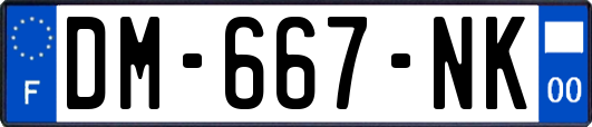 DM-667-NK