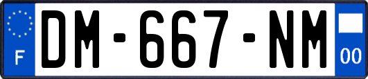 DM-667-NM