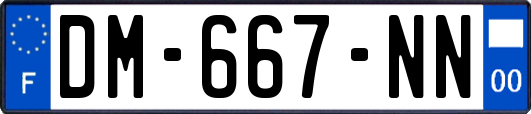 DM-667-NN