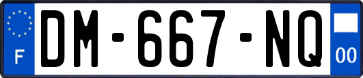 DM-667-NQ