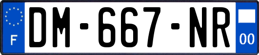 DM-667-NR
