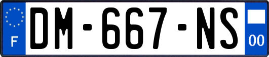 DM-667-NS