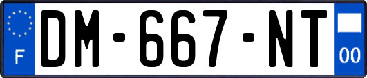 DM-667-NT
