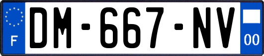 DM-667-NV