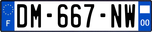 DM-667-NW