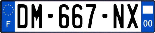 DM-667-NX