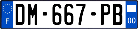 DM-667-PB