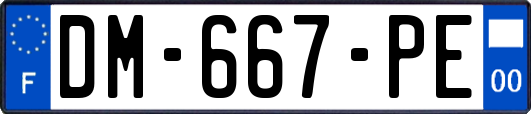 DM-667-PE
