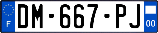 DM-667-PJ