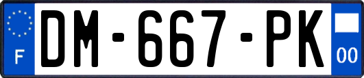 DM-667-PK