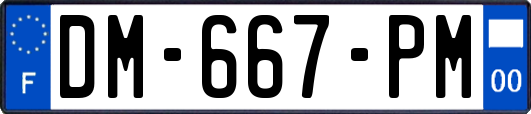 DM-667-PM