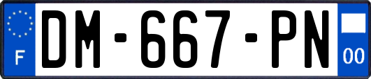 DM-667-PN