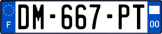DM-667-PT