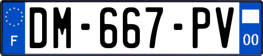 DM-667-PV