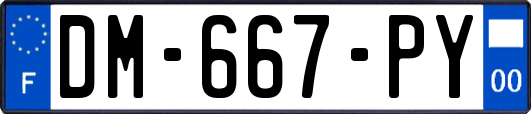 DM-667-PY