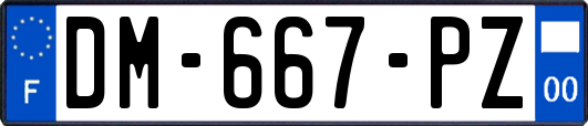 DM-667-PZ