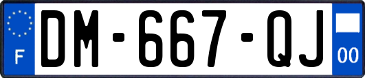 DM-667-QJ