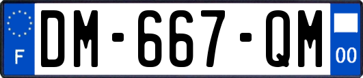 DM-667-QM