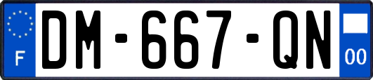 DM-667-QN