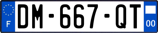 DM-667-QT