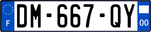 DM-667-QY
