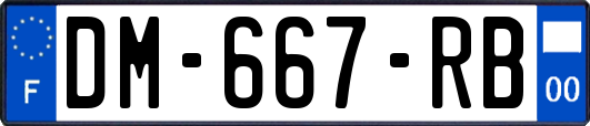 DM-667-RB