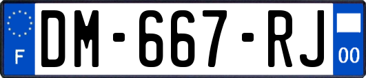DM-667-RJ