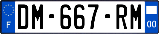 DM-667-RM