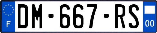 DM-667-RS