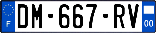 DM-667-RV