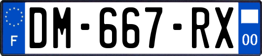 DM-667-RX