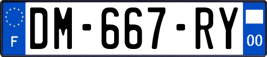 DM-667-RY