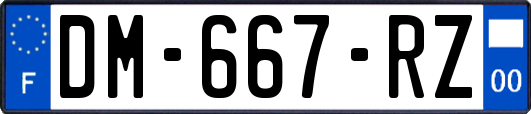 DM-667-RZ
