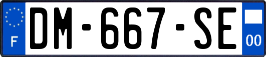 DM-667-SE