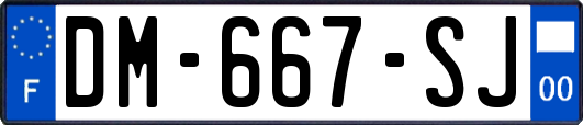 DM-667-SJ