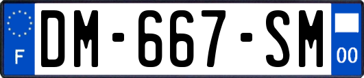 DM-667-SM