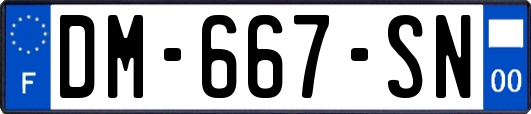 DM-667-SN