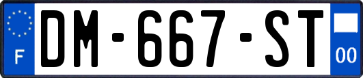 DM-667-ST