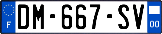 DM-667-SV
