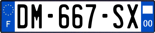 DM-667-SX