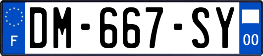 DM-667-SY