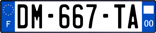 DM-667-TA