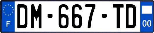 DM-667-TD