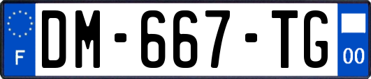 DM-667-TG
