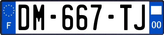 DM-667-TJ
