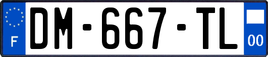 DM-667-TL