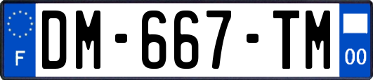 DM-667-TM
