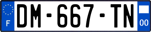 DM-667-TN